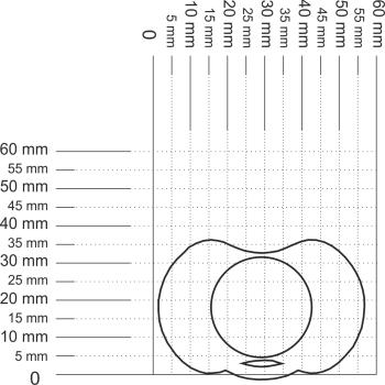 Preview: Schnuller Blossom mintgrün SPEZIALVERSCHLUSS!